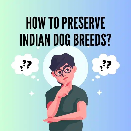 How to preserve indian dog breeds